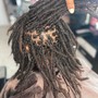 Loc Maintenance