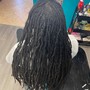 Starter Locs