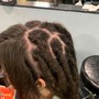 12- inch Spring Twists