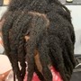 Medium Traditional Box Braids