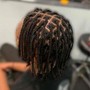 Medium Two Strand Twists/Plaits