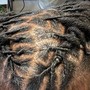 Wash & Retwist (Medium loc size)