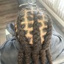 Starter Locs