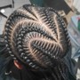 Havana Twists