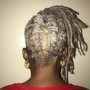 Starter locs