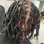 Starter Locs