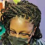 Jumbo  individual Braids/Twist