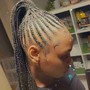 Kid's Braids in ponytail