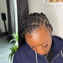 Mediun fulani braids