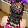 Kid's Braided Ponytail