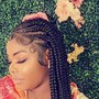 12"  Butterfly Locs  crochet