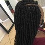 Crochet Braids, Twist or Locs