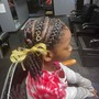 Feed Ins Stitch Braids