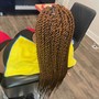 Senegalese  Twist large