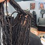 Starter Locs