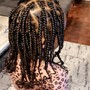 Poetic Justice Braids