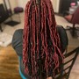 Starter Dreadlocks