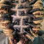 Bantu Knots