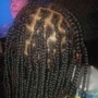 Kid's Braids