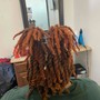 Starter Locs (long mid back or longer)