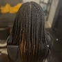 Medium Senegalese Twist