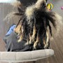 Loc Retwist with Style