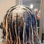 Starter locs two strain twist