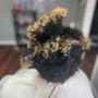 Shampoo/Condition /BLOW OUT