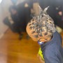 House Call Wash , Retwist , Style