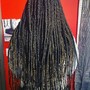 Box Braids