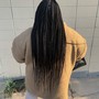 Large Feeder Ponytail