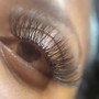 Volume set Eyelash Fill