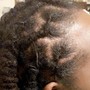 Large Dreadlocks retwist