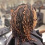 Crochet Braids