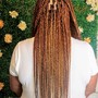 Crochet Braids (pre-braided or twisted hair)