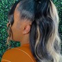 Sleek Ponytail