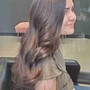 Parcial Lowlights shoulder length hair