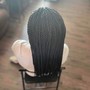 Adult Senegalese Twist