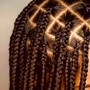 Large Senegalese knotless twist