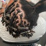 Root Touch Up