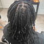 Two Strand Twist Start Up