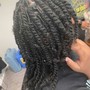 Two Strand Twist Start Up