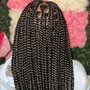 Traditional box braids (small)