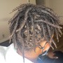 Starter Locs