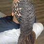 Starter Locs