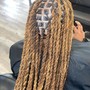 Starter Locs