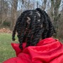 large 2 strand twist /twist out