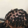 Invisible locs  Twist