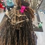 Starter Locs