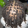 Starter Locs